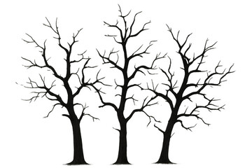 Obraz premium Leafless trees silhouette creating a spooky, dark, and winter nature scene with a transparent background