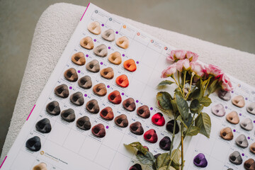 a folder with an example of hair color for coloring in a hair salon