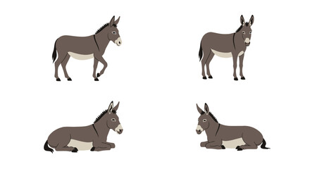 Donkey poses isolated with transparent background