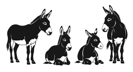 Donkeys standing and sitting black and white