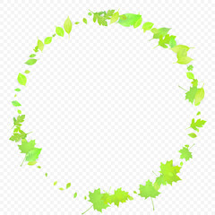 Leaves Falling. Spring Flying Foliage. Chaotic Green Leaf Flying On Transparent Background. Forest Design, Nature Elements. Ecology Vector Illustration. Environment Backdrop.