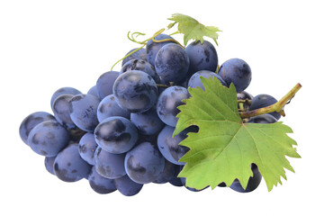 Bunch of grapes isolated on white background