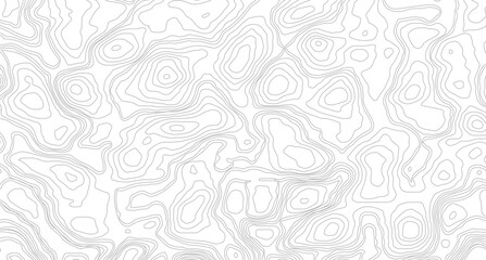 White topography topology vector white background, topographic wavy pattern design. Luxury black abstract line art,
