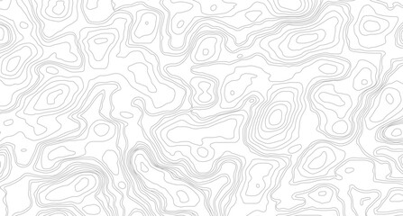 Modern design with White background with topographic wavy pattern design. White topography topology vector white background.