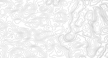 White topography topology vector white background, Modern design with White background with topographic wavy pattern design.