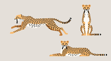 Cheetah poses: running, sitting, and lying down