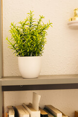 Plastic plant in a white flowerpot.