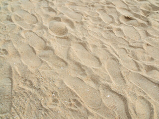 Nature travel background, sand beach close up texture summer desert zen garden coast ocean for vacation, hot tropical scene nature, holiday dune pile dry brown heap