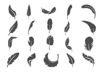 Feather Silhouette Vector Set