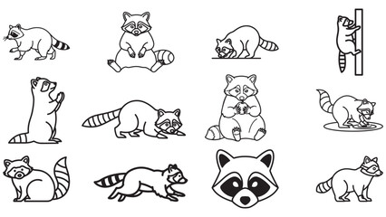 Fototapeta premium Raccoon masked forest outline icons, ringtail scavenger vector animal collection