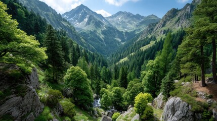 Majestic Mountain Valley Landscape with Lush Green Pine Forests and Rocky Outcrops Under a Bright Blue Sky on a Sunny Day