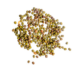 a bunch of green beans. shot with high angle view