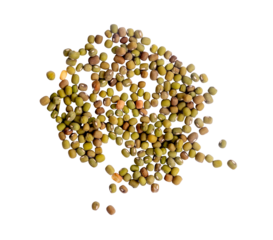 a bunch of green beans. shot with high angle view