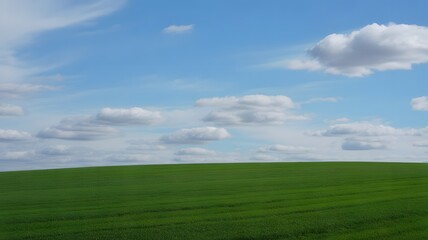 Fototapeta premium Breathtaking green field under a serene blue sky scattered with fluffy clouds evokes peace and tranquility, ideal for nature lovers and serene backgrounds