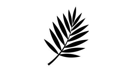 Palm leaf silhouette with transparent background
