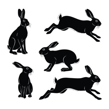 A collection of five black hare silhouettes in various dynamic and static poses.