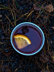 Mulled wine is a hot wine-based drink with added spices and fruits. Mulled wine is a traditional winter drink popular at Christmas markets in Europe.