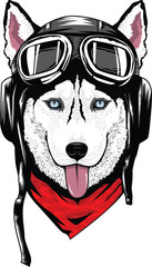 A stylish husky wearing aviator goggles and a red bandana, showcasing a bold mix of adventure, loyalty, and cool biker attitude in modern vector style.