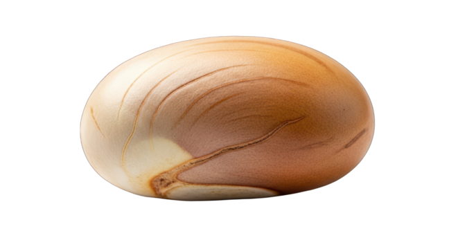 Close-up of a smooth, oval-shaped stone with warm,