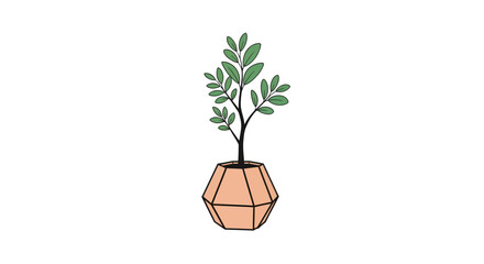 A simple, modern illustration of a green leafy plant in a geometric terracotta pot on a white background.