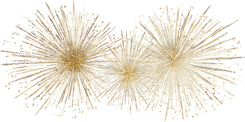 Fototapeta premium Three fluffy, starburst-like seed heads against a black background
