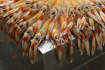 Various shrimps and seafood arranged for sale at a fish market in Spain,