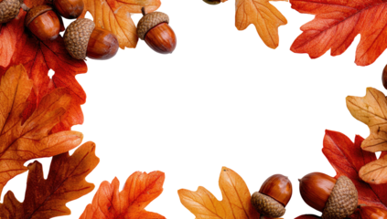 Autumn leaf and acorn border with black background cutout