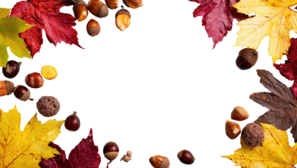 Autumn leaves and nuts form a circular border on black