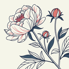 Blooming peony flower