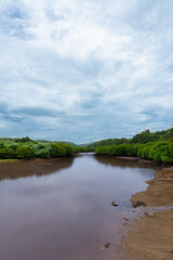 Forêts de mangroves du village d'Higashi, Okinawa, Japon