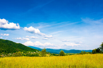 Fototapeta premium beautiful mountain landscape with green hills in summer. rural field on a sunny day. rolling countryside scenery of ukraine with blue sky. grassy pasture of alpine region of transcarpathia