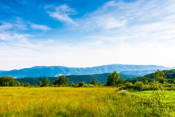 Obraz premium beautiful mountain landscape with green hills in summer. rural field on a sunny day. rolling countryside scenery of ukraine with blue sky. grassy pasture of alpine region of transcarpathia