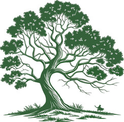 Obraz premium Broadleaf with Strong Tree and Visible Roots Natural Illustration