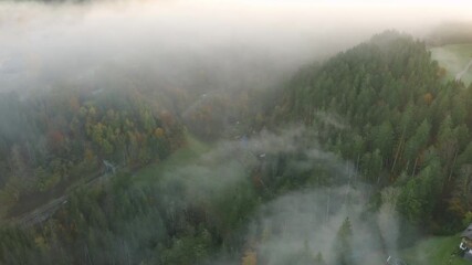 Aerial drone flight over a fog-covered autumn forest with a solitary house emerging through the mist - Powered by Adobe