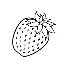 Outline drawing of strawberry on transparent background
