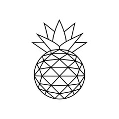 Geometric outline of pineapple on transparent background