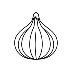 Outline drawing of a shallot on transparent background