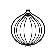 Outline drawing of an onion on transparent background