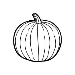 Outline drawing of a pumpkin on transparent background