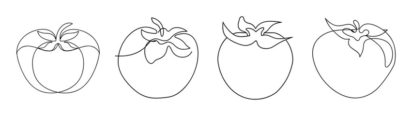 Obraz premium Four outline drawings of ripe persimmon fruits with green leaves