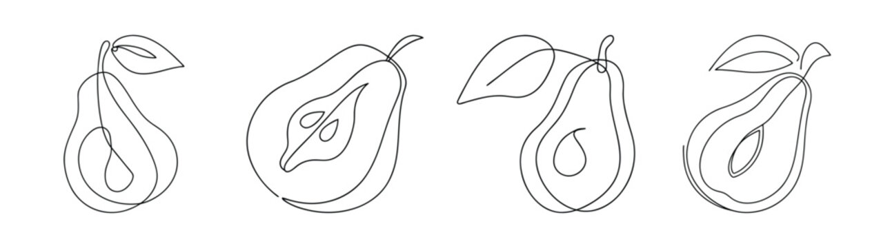 Four detailed line drawings of pawpaw fruit showing interior and exterior