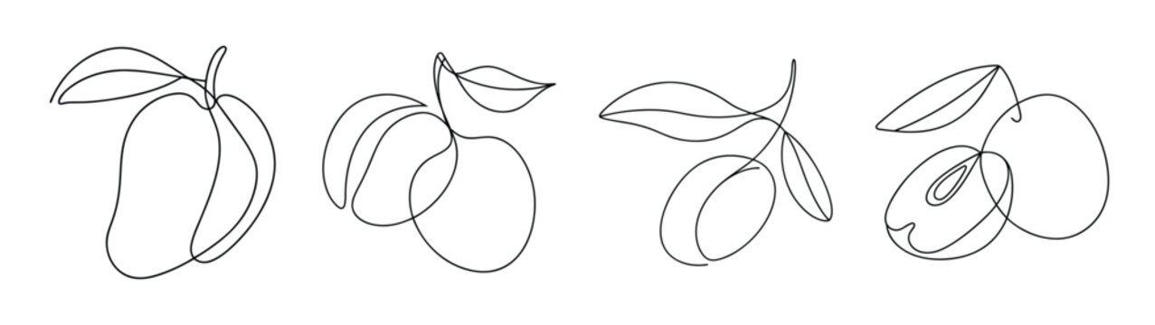 Hand drawn nance fruit botanical sketches on white