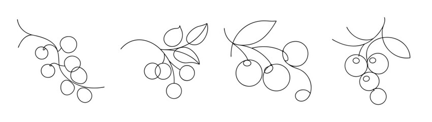 Naklejka premium Four branches of red currants with detailed delicate sketch lines