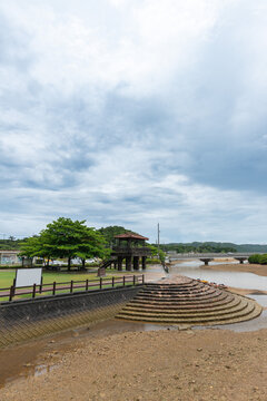 For&ecirc;ts de mangroves du village d'Higashi, Okinawa, Japon