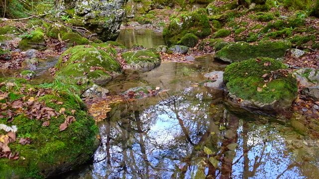 Mountain stream in autumn forest with mossy rocks and fallen leaves