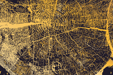 High resolution illustration of gold tree trunk cross section with detailed growth rings and natural cracks. Artistic wood grain texture in contrasting golden and dark tones for creative design projec