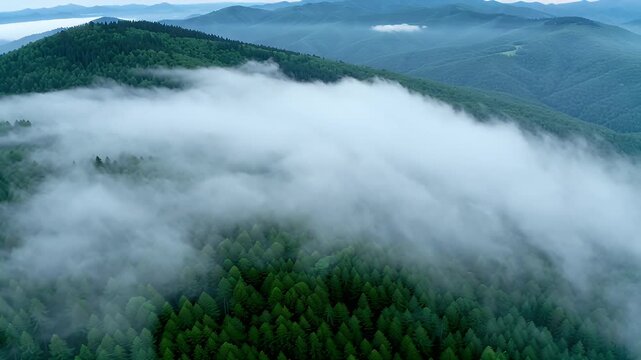 Aerial view of misty forested valley with rolling green hills and drifting clouds over treetops
