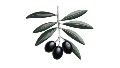 Olive branch with fruit, dark tones, isolated illustration