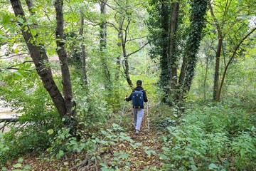  young girl with a backpack is hiking alone in forest
