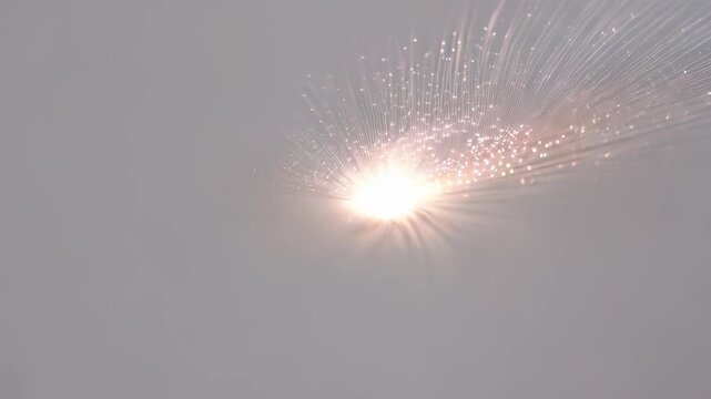 Fiber Optic Light Burst in Gray Background
